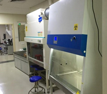 HIV實驗室規劃設計